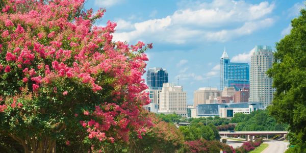 A look at downtown Raleigh's skyline with crepe myrtle trees blooming.